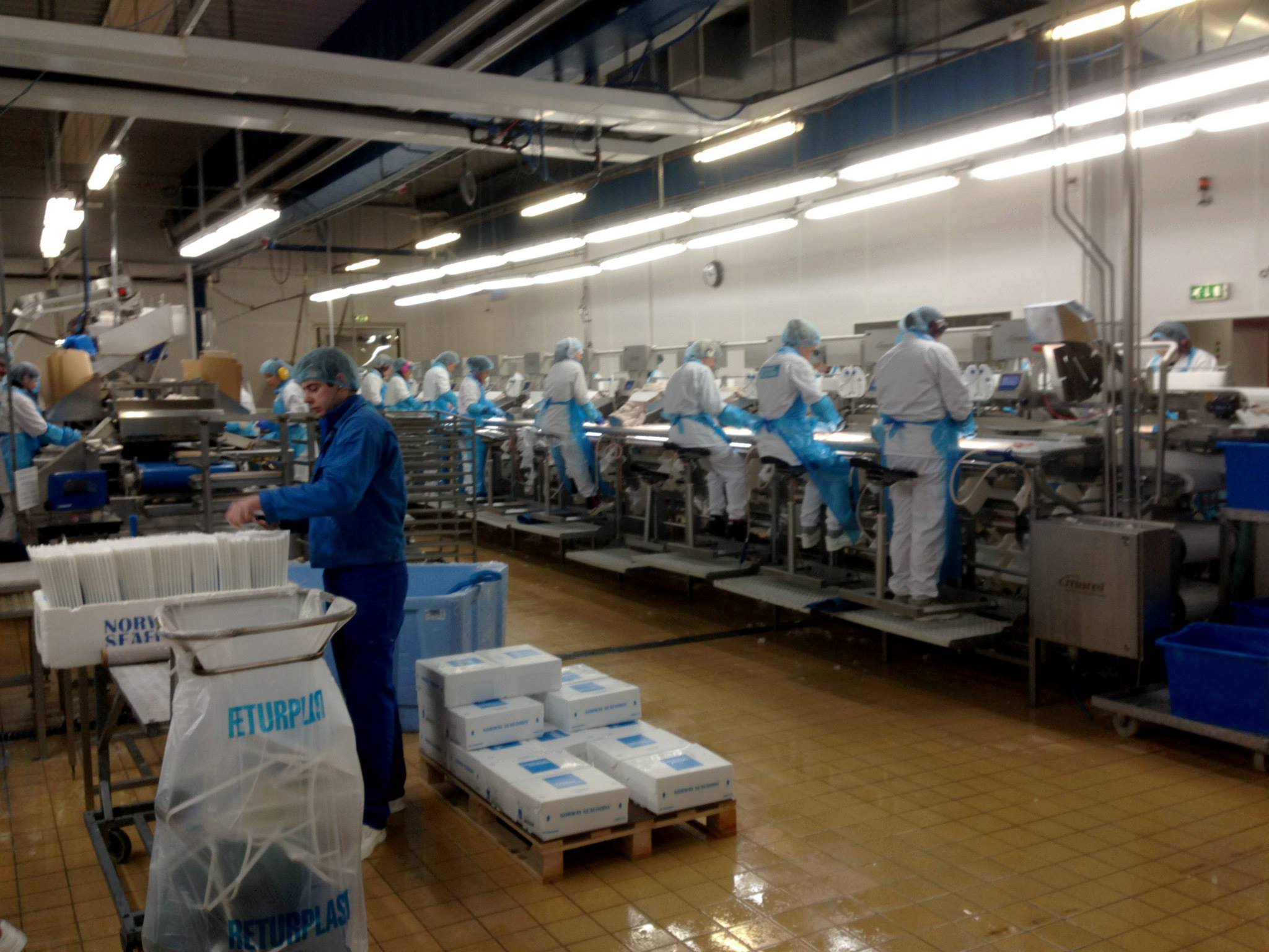 Produksjonsanlegg besøkt gjennom arbeidet i Norges sjømatråd